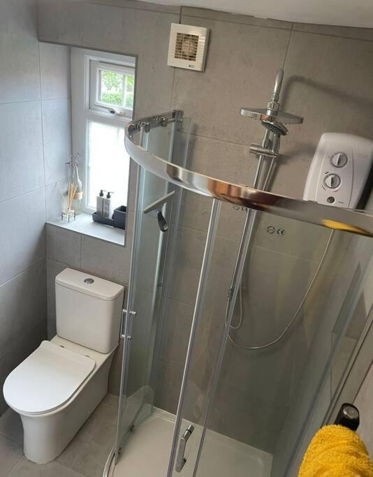 Netherton Studio Apartment 2 Rhôs-on-Sea Екстериор снимка